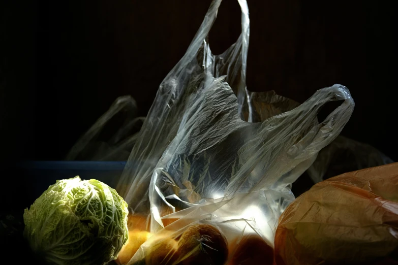 a bunch of vegetables sitting on top of a table, a still life, by Jan Rustem, unsplash, plasticien, dressed in plastic bags, back lit lighting, photographed for reuters, lights