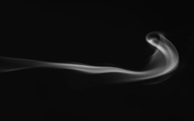 a close up of smoke on a black background, digital art, by Emma Andijewska, unsplash, conceptual art, 4k greyscale hd photography, abstract claymation, flowing curves, in profile