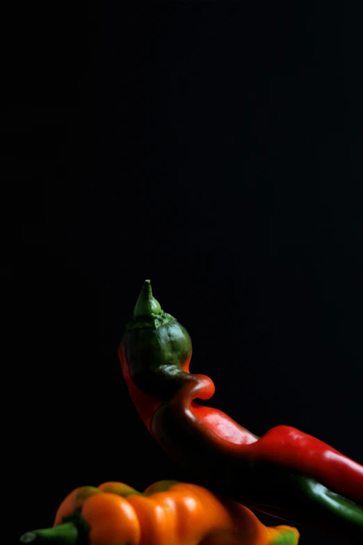 a group of peppers sitting on top of a table, inspired by Robert Mapplethorpe, photographed for reuters, ((portrait))