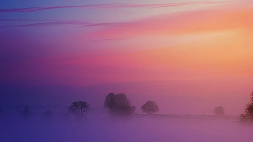 a herd of sheep standing on top of a snow covered field, pexels contest winner, romanticism, tall purple and pink trees, foggy sunset, gradient purple, made of mist