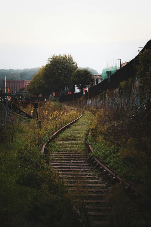 there are several railroad tracks leading to the green trees