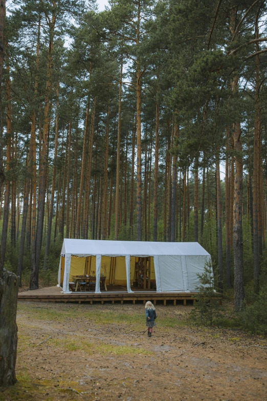 a person standing in front of a tent in the woods, by Grytė Pintukaitė, glamping, square, exterior view, marquee