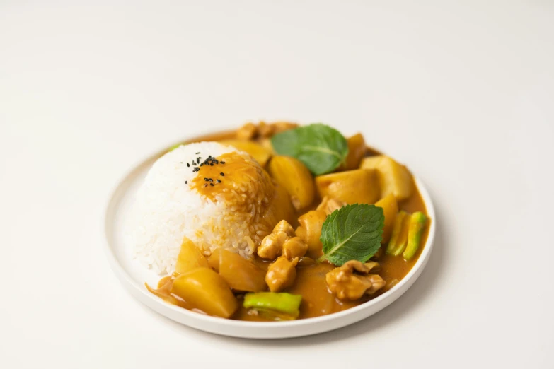 a white plate topped with rice and vegetables, detailed product image, wellington, toki doki, caramel