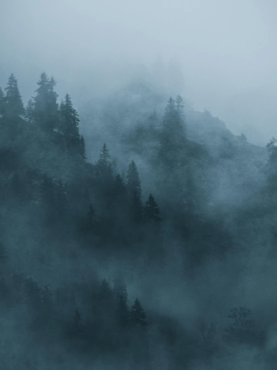 a landscape of fog with trees on it