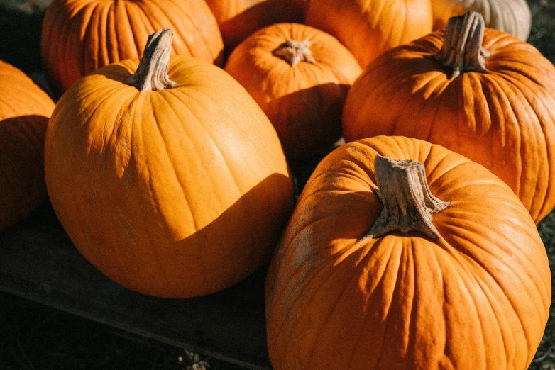 a pile of pumpkins sitting on top of a wooden table, by Carey Morris, pexels, warm sunshine, thumbnail, background image, [ cinematic