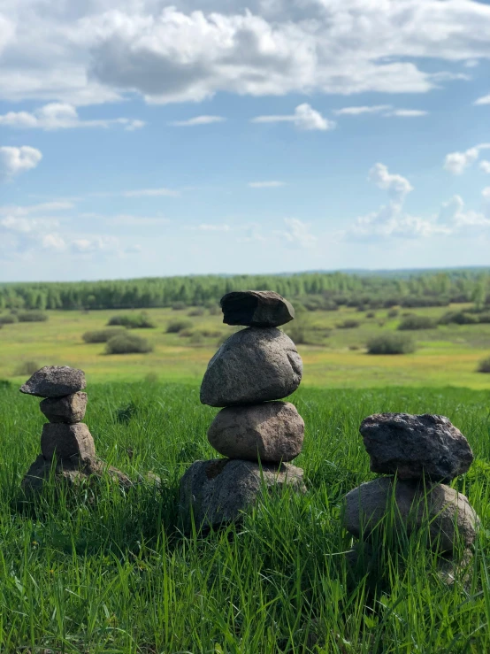 a group of rocks sitting on top of a lush green field, by Ilya Ostroukhov, unsplash, land art, two organic looking towers, prairie, profile image, ((rocks))