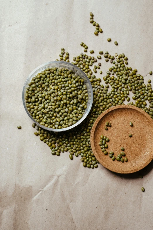 a spoon full of mung beans next to a bowl of mung beans, by Alison Geissler, trending on unsplash, renaissance, cardboard, assemble, aged 2 5, sparse floating particles