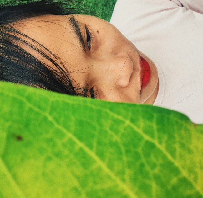 a woman laying on top of a green leaf, trending on pexels, hyperrealism, avatar image, asian face, laying in bed, coloured photo