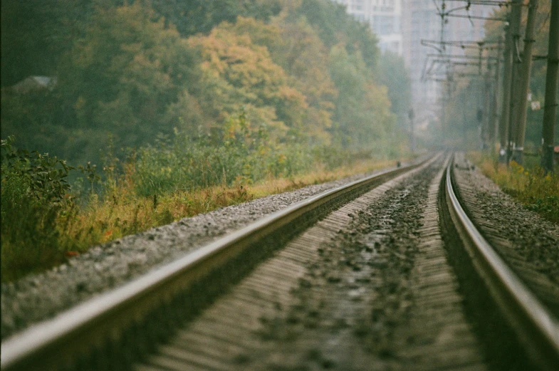 empty railroad tracks lead into a green wooded area