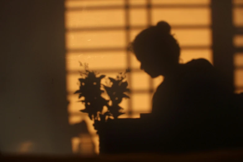 a silhouette of a person sitting in front of a window, sitting with flowers, documentary still, avatar image, warm glow