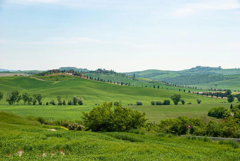 rolling hills are covered in green trees and bushes