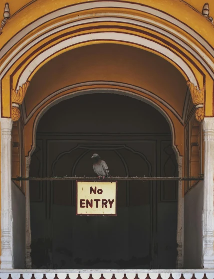 a no entry sign hanging on the side of a building, inspired by Steve McCurry, pexels contest winner, pigeon, inside a palace, an empty hallway, provocative indian