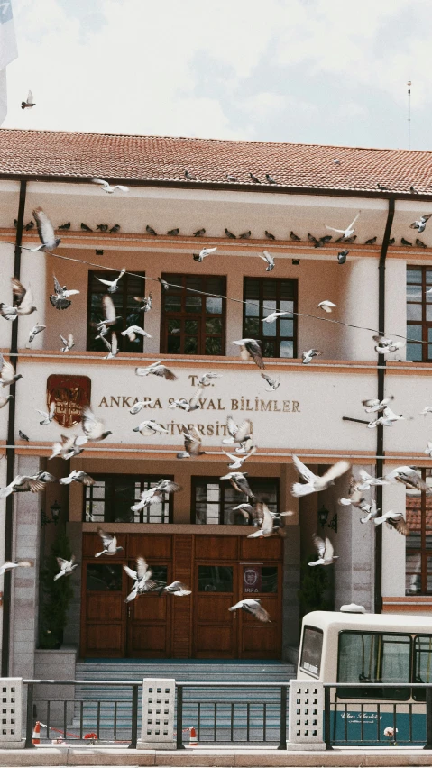 a bus that is sitting in front of a building, by Ismail Acar, pexels contest winner, danube school, flying birds, at college, front view, doves