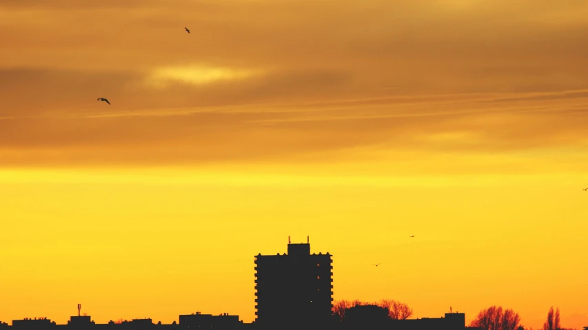 a group of birds flying over a city at sunset, by Mathias Kollros, pexels contest winner, minimalism, yellow, brutalist buildings tower over, glasgow, sunset panorama