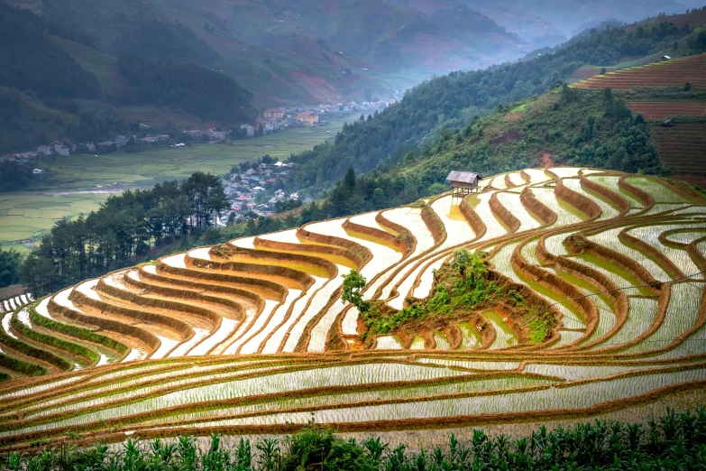 a scenic view of the rice terraces of a village