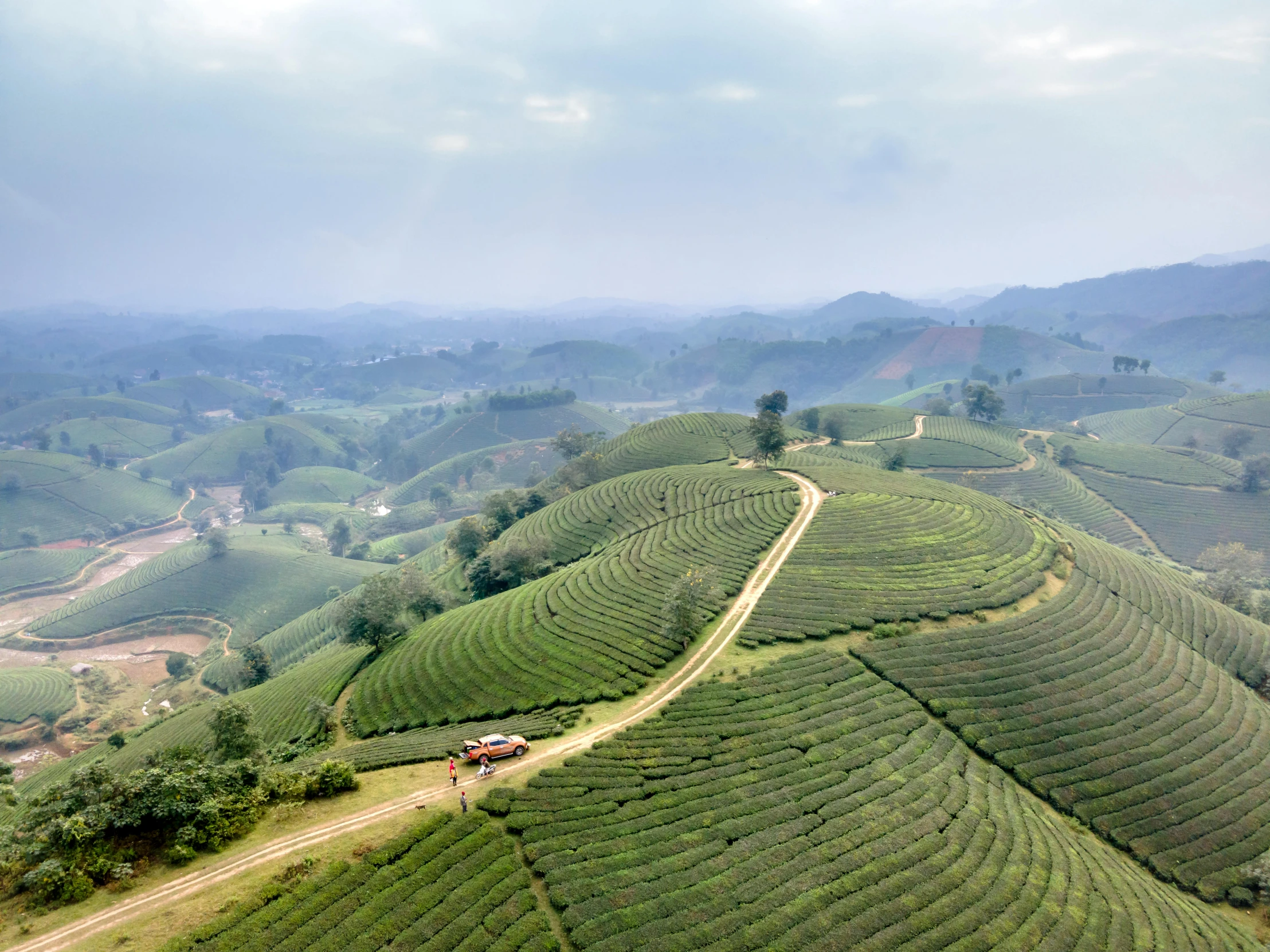 a train traveling through a rural green countryside