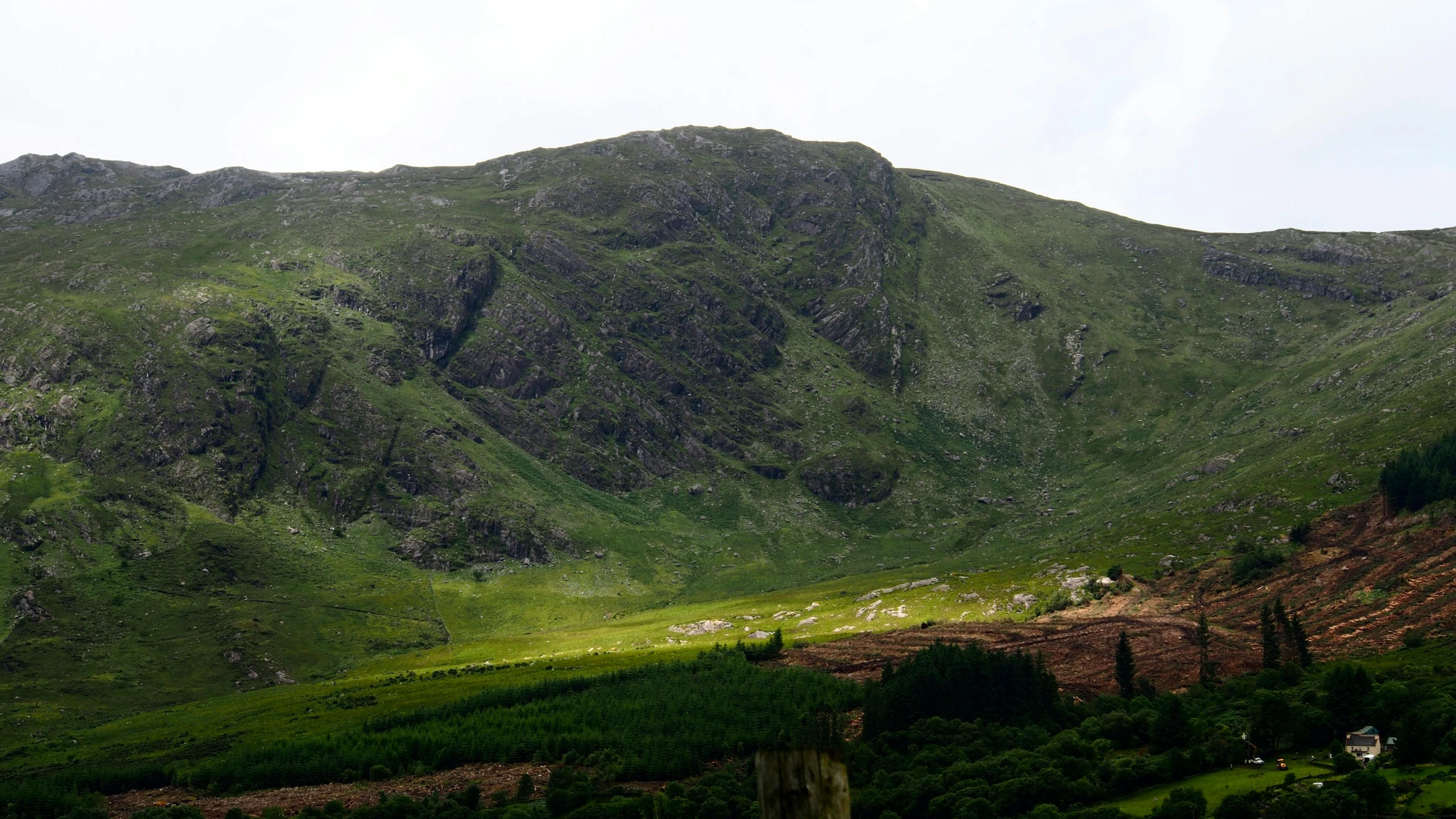 a herd of sheep standing on top of a lush green hillside, by Bedwyr Williams, pexels contest winner, les nabis, standing in front of a mountain, layers of strata, irish forest, july 2 0 1 1