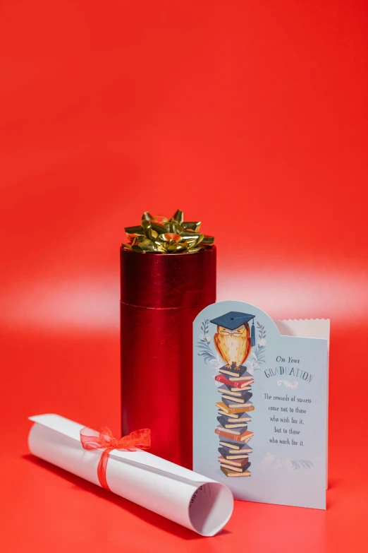 a red vase filled with a plant next to a graduation card, full product shot, foil, very long, sweet