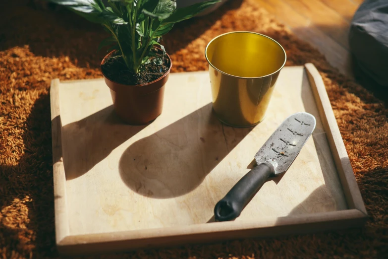 a knife sitting on top of a cutting board next to a potted plant, inspired by Grillo Demo, grey, miscellaneous objects, sunlit, no cropping