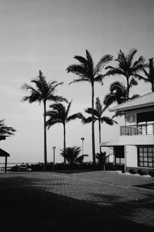 a po of a black and white building with palm trees