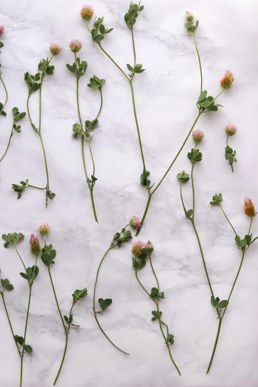 a bunch of flowers that are on a table, inspired by Anna Füssli, trending on unsplash, conceptual art, clover, made of marble, plants allover, matte surface