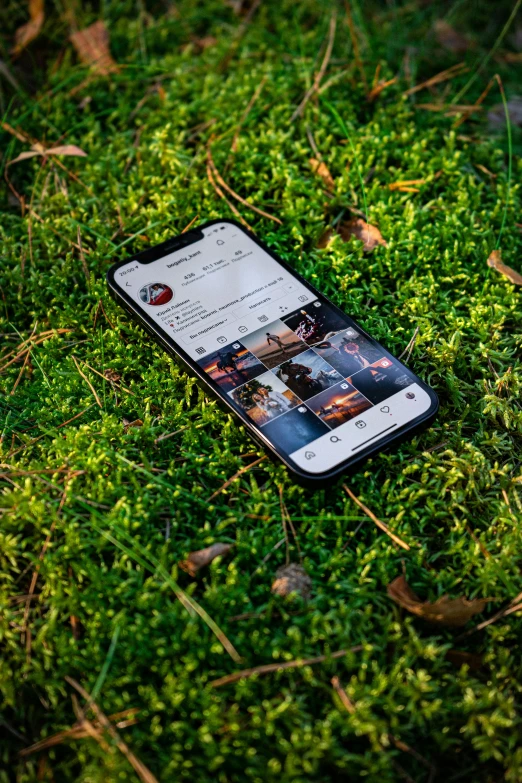 an iphone sitting on top of a green moss covered ground, a picture, unsplash, happening, profile image, instagram post, iphone 1 3 pro max, casually dressed