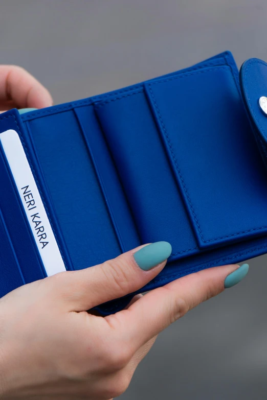 a woman's hand holding a wallet with a matching id card case