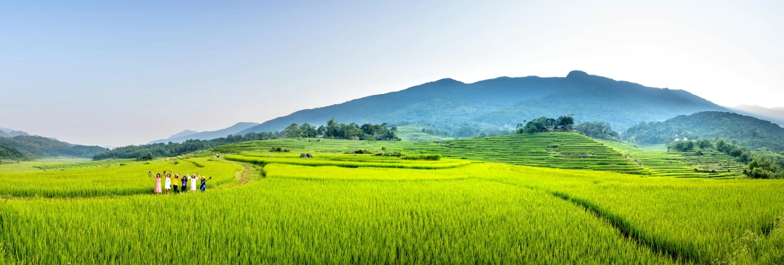 a group of people walking across a lush green field, by Jang Seung-eop, trending on unsplash, sumatraism, rice, panoramic, some yellow green and blue, guangjian