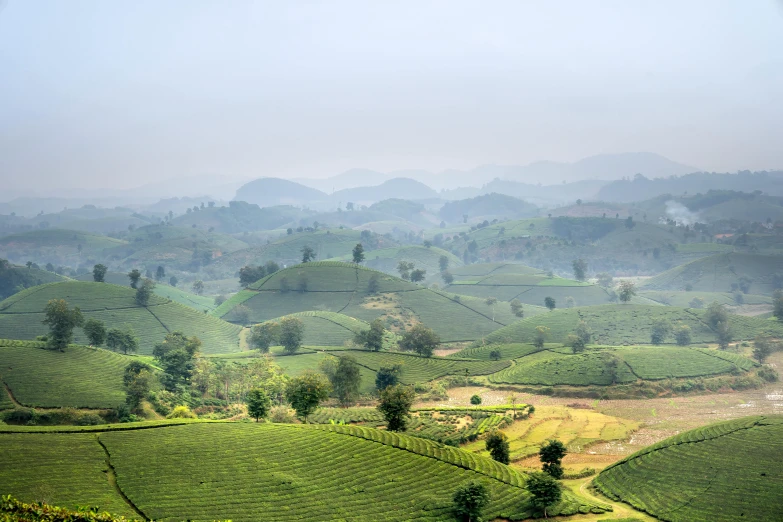 the lush green hills of a mountain area