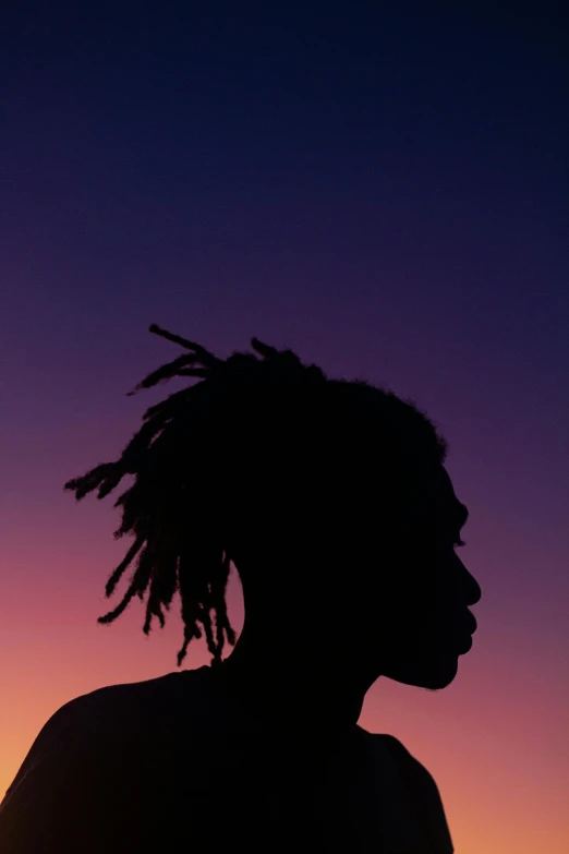 a man with dreadlocks standing in front of a sunset, an album cover, by Winona Nelson, trending on pexels, afrofuturism, left profile, black teenage boy, purple hue, sky line