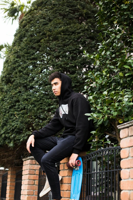 a man sitting on a brick wall with a skateboard, an album cover, unsplash, realism, dressed black hoodie, andrew thomas huang, in a garden, profile image