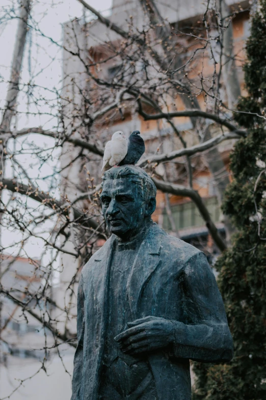 a statue of a man with a bird on his head, a statue, inspired by István Regős, pexels contest winner, 🚿🗝📝, dark grey haired man, february), toward to the camera