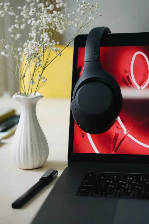 a laptop computer sitting on top of a table, an album cover, inspired by Ion Andreescu, trending on pexels, red headphones, flower sepals forming helmet, taken with sony alpha 9, at home