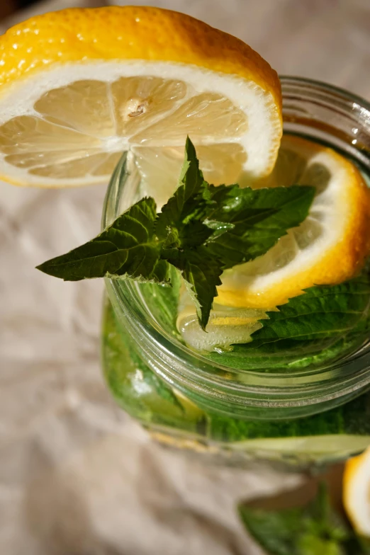 a glass of water with lemon slices and mint leaves, a picture, by Jan Tengnagel, pexels, renaissance, inside a glass jar, high angle close up shot, multi-part, very sunny