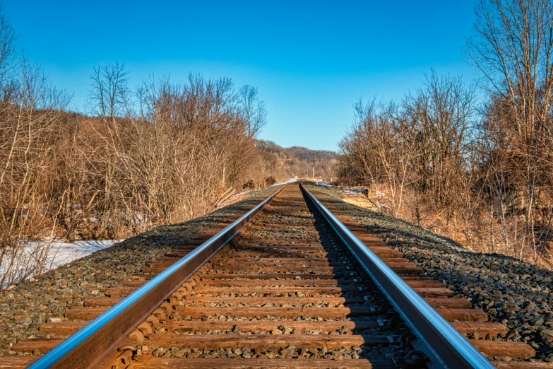 a close up of a train track with trees in the background, a portrait, by Alison Geissler, unsplash, blue sky, cornell, january 20th, 2022 photograph