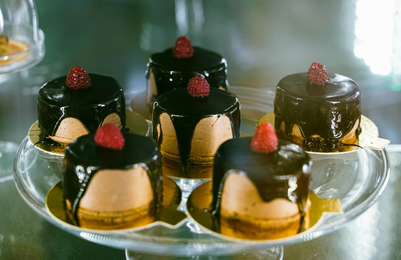 a group of desserts sitting on top of a glass plate, black and brown, melbourne, exquisite quality, cheeks