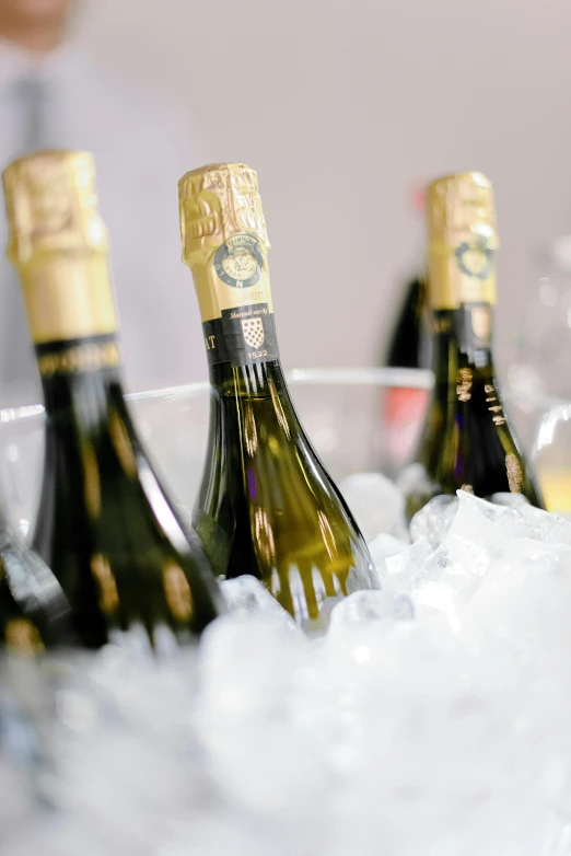 a group of bottles of champagne in ice