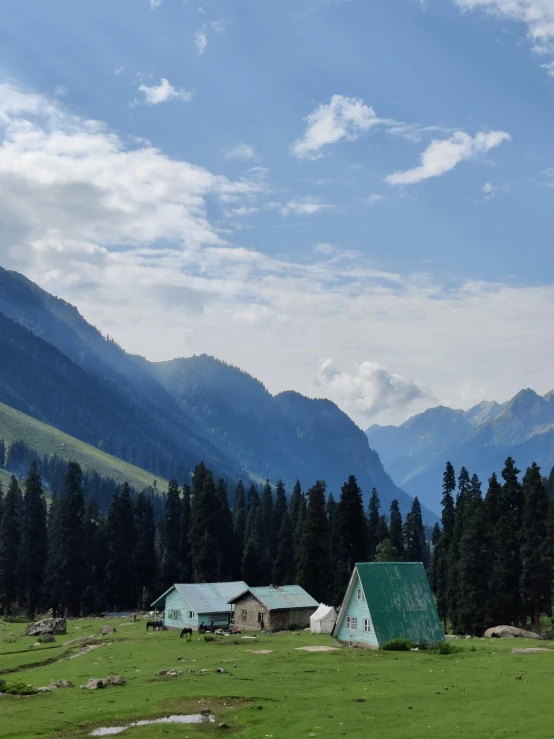 a herd of sheep grazing on top of a lush green field, by Julia Pishtar, pexels contest winner, hurufiyya, burnt huts, evergreen valley, solo hiking in mountains trees, with beautiful mosques