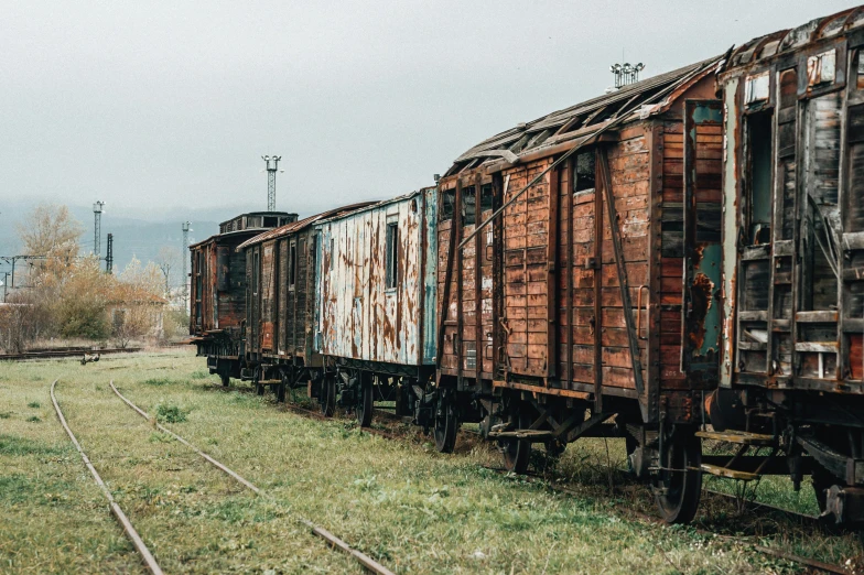 a train traveling down train tracks next to a lush green field, a colorized photo, unsplash, graffiti, abandoned war torn village, carriages with horses, 🚿🗝📝, west slav features