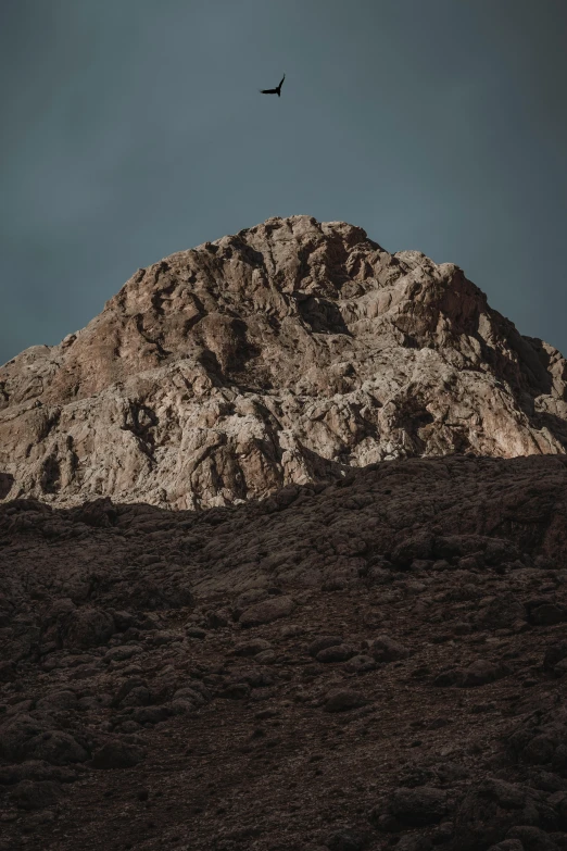 bird flying in the sky above a rock formations