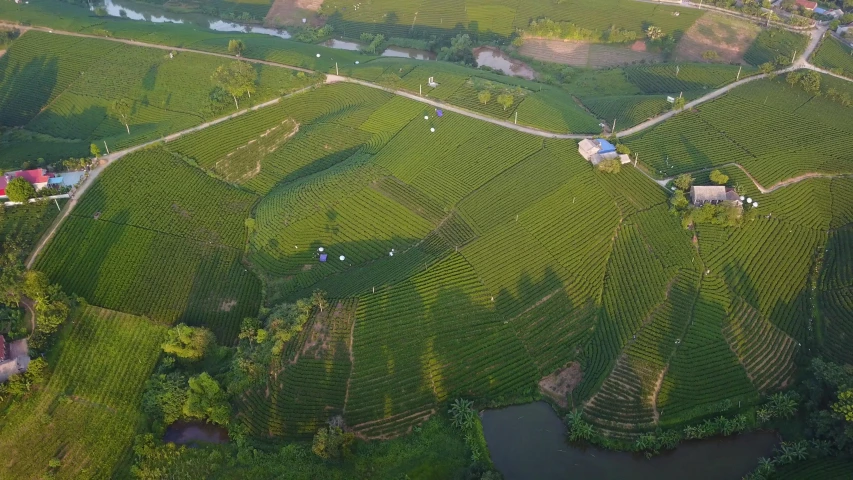 a view of the lush green landscape with houses on it