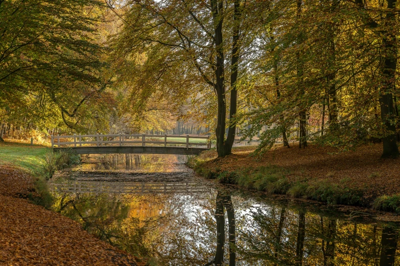 a bridge over a body of water surrounded by trees, a picture, inspired by Willem de Poorter, pexels contest winner, autumn colour oak trees, thumbnail, high reflections, brown