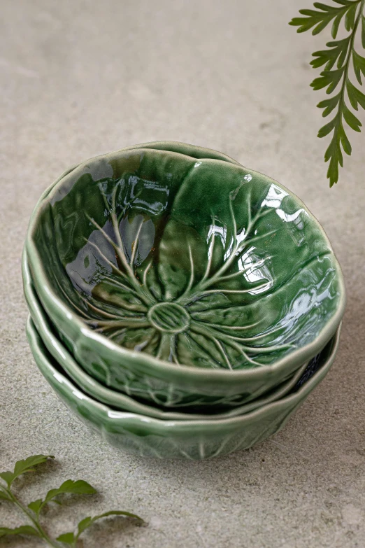 a green bowl sitting on top of a table next to a plant, lily pads, embossed, very crisp details, sugar