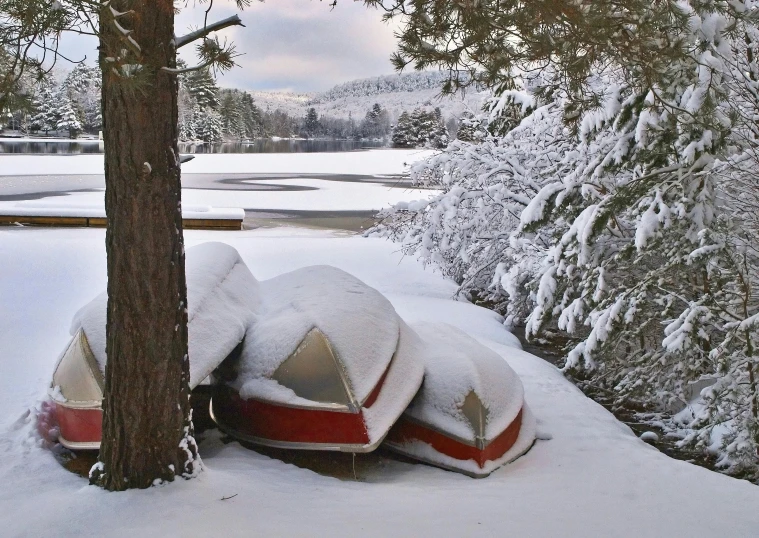 three snow covered sandals sitting next to a tree