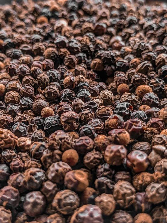 a pile of dried raisin raisin raisin raisin raisin raisin raisin raisin raisin raisin raisin raisin, by Johannes van Haensbergen, pexels contest winner, renaissance, panorama, carolina reaper, highly detailed textured 8k, beads of sweat