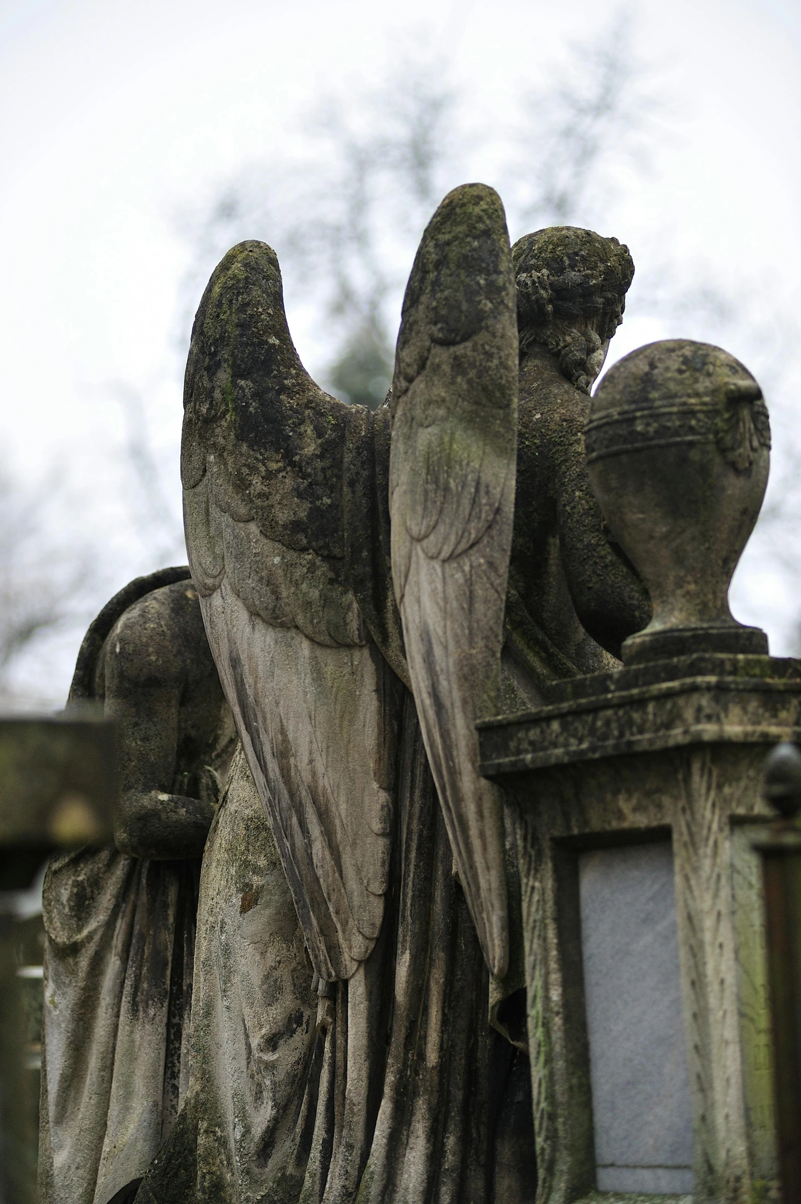 a close up of a statue of an angel, by Dave Allsop, with two pairs of wings, tombs, looking from behind, barnet