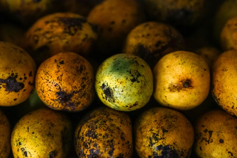 a pile of oranges sitting on top of each other, by Thomas Häfner, unsplash, renaissance, colors of jamaica, potato, shot with sony alpha 1 camera, sri lanka