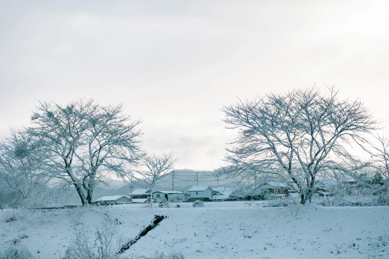 a red fire hydrant sitting in the middle of a snow covered field, an album cover, by Yasushi Sugiyama, pexels contest winner, mingei, view of villages, ghostly white trees, in karuizawa, panoramic shot