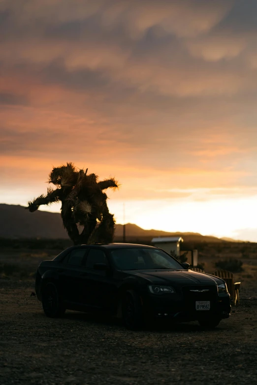 a car that is parked in the dirt, unsplash, a humanoid thistle monster, cinematic sunset, choreographed fight scene, square