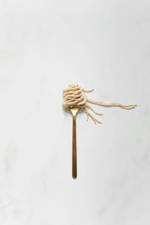 a close up of a fork with noodles on it, by Matthias Stom, beige mist, 5, ivory, julia hetta